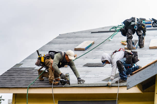 Professional Gutter Installation technician working in Darwin, MN